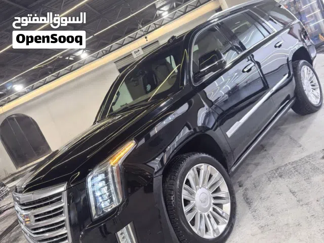 2019 كاديلاك اسكاليد Platinum