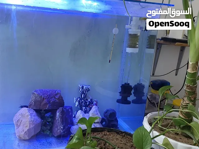 حوض سمك اكرلك جاهز للبيع