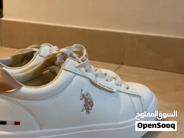 شوز بولو الأصلي سعر رمزي مودل جديد