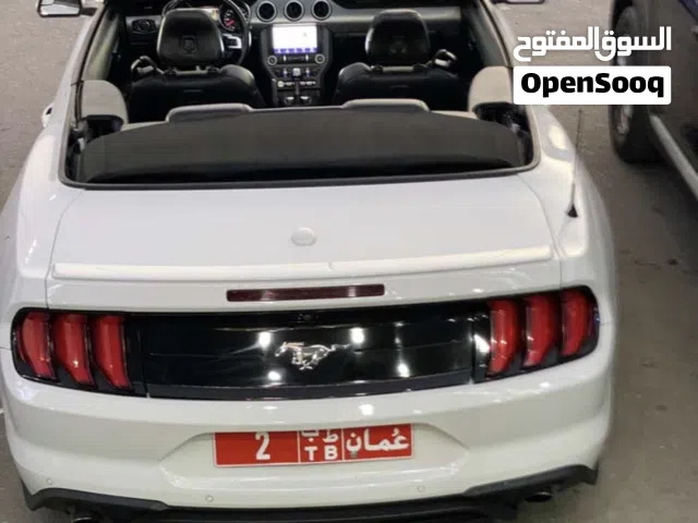 Convertible Ford in Dhofar