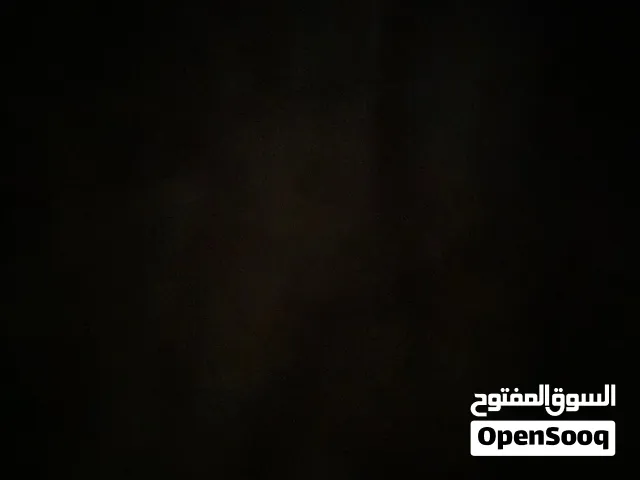 11 برو ربي يبارك