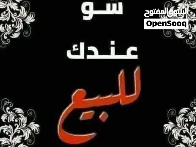 جوز كوكتيل لاتينو وجوز كنار بسعر حرق