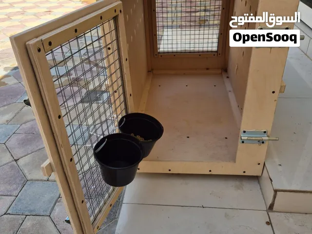 Large Wooden Dog Transport / Kennel Box – 92 × 75 × 55 cm