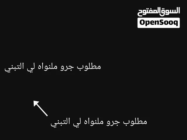 مطلوب جرو ملنواه لي التبني أو بيتبول أو دبرمان أو روت وايلر دكر