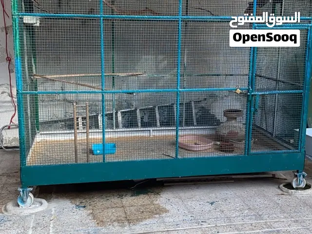 للبيع قفص طيور مستخدم  موجود ف عجمان
