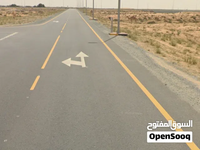 للبيع ارض تجاريه شارع 97 المالحه ضاحيه تملك حر  مشروع الرويضات 5أراضي مساحة 2422 قدم  ارضي وأربعه