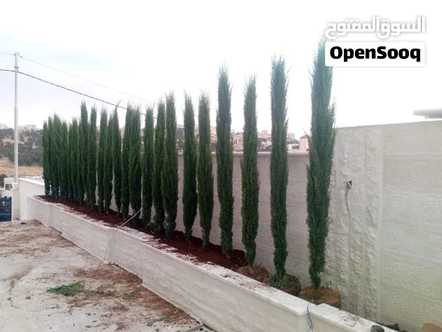 تشييك مزارع زراعة شجر فلل قصور مزارع قص تهذيب شجر تشذيب جولد ستار