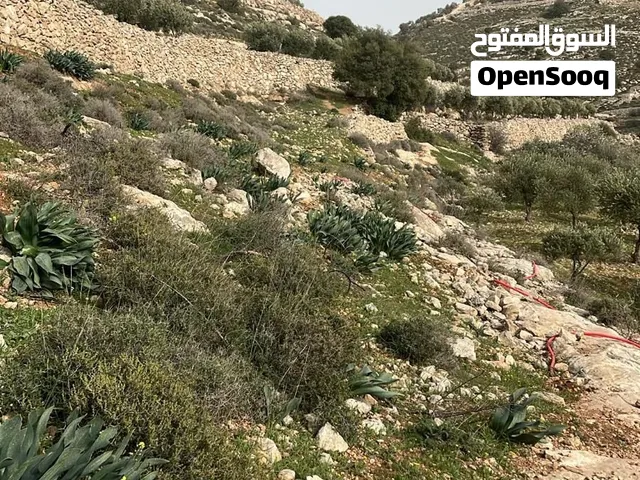 قطعة ارض للبيع بسعر مغري