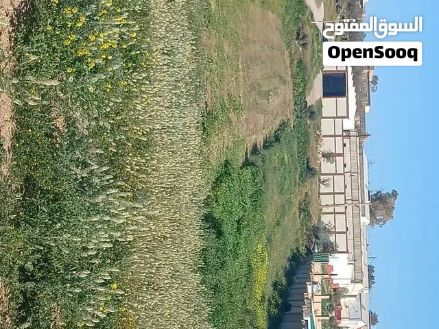 Terrain industriel à vendre – 5400 m2 – Zone Industrielle El Hamoul, Oran