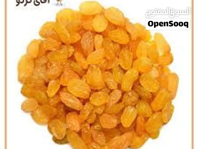 زبيب ذهبي إيراني فاخر للبيع بالجملة