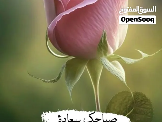 تعليم العزف السماعي  والغناء على  العود ... وتاليف الأغاني وتلحينها