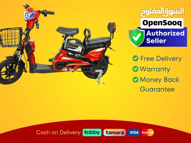 Wind Horse M1 Electric Bike, M1