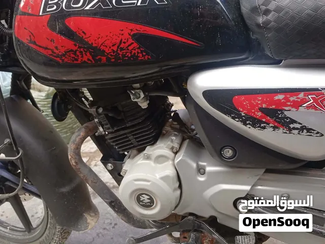بوكسر جبلي 23