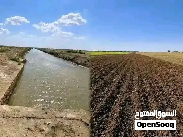 اراضي زراعية للبيع اقل عدد تمليك 5افدنة
