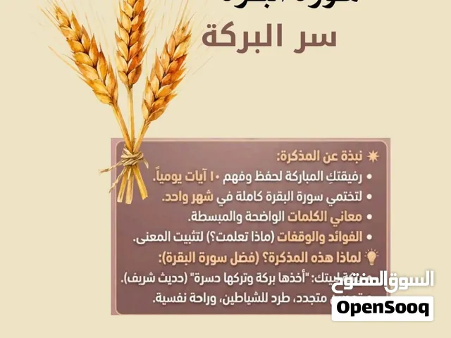 سر البركةpdf