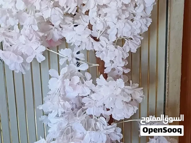 شجرة اللوز لذوي الذوق الراقي ارتفاع 175 سم جديدة مع قوار واحجار بسعر ما صاااار