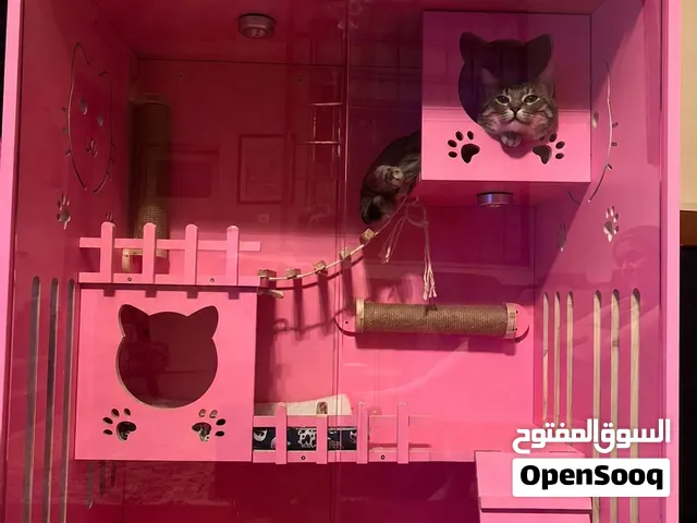 منزل قطط مستعمل للبيع(اقرأ الوصف)