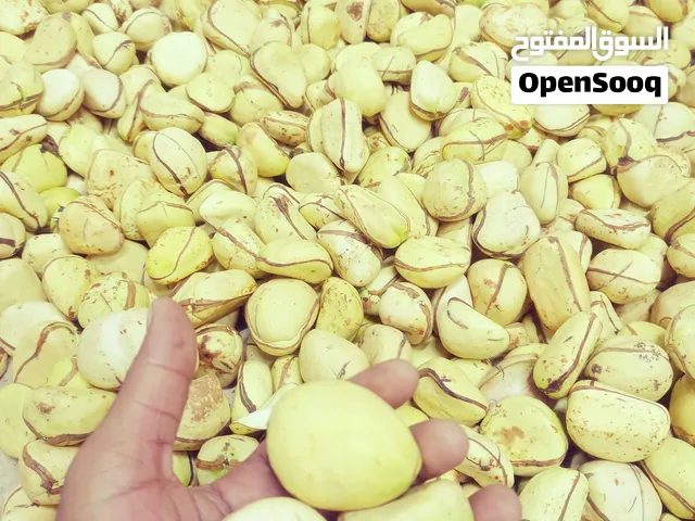 قيرو جيرو قورو البحرين جيرو البحرين
