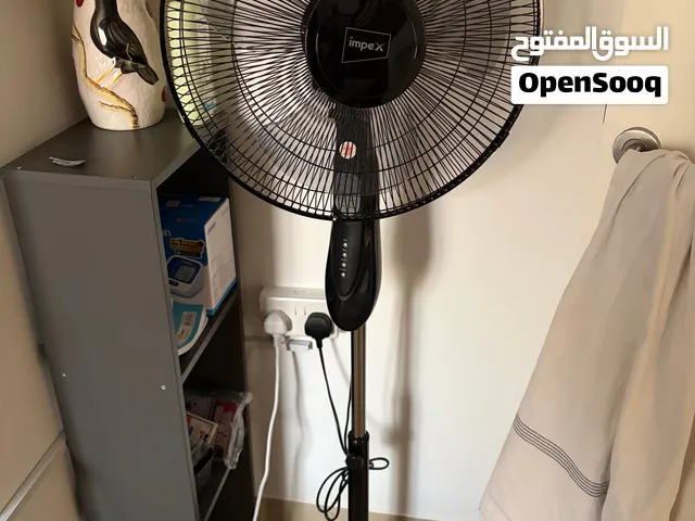 Standing Fan