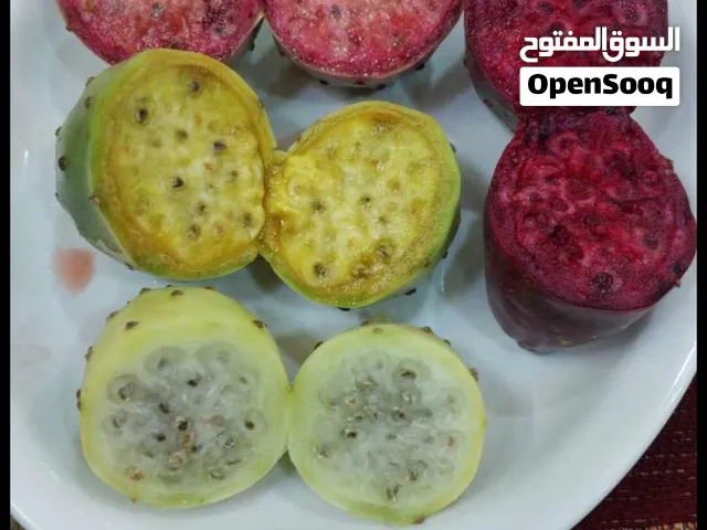 الصبر المكسيكي والجزائري