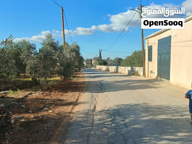 ارض للبيع في زبوبا طريق المطلة ارض زيتون حمال وصالحة للبناء كما ان المنطة صالحة للمشاريع التجارية
