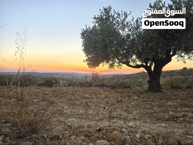 ارض بالقرب من جامعه بيرزيت