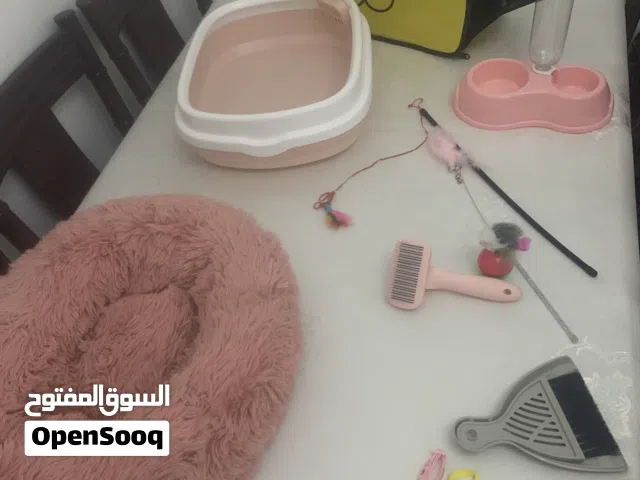 مستلزمات قطط