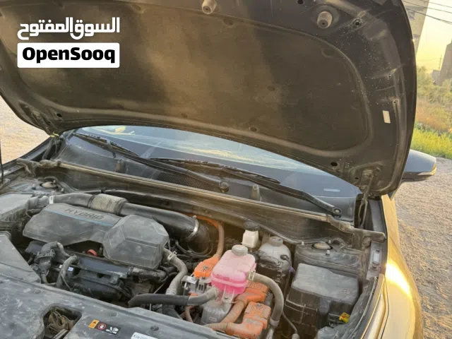 سبورت سوداء سبورت السوداء أمريكي 23