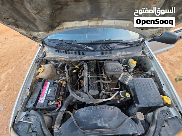 جيب نمر الون فضي