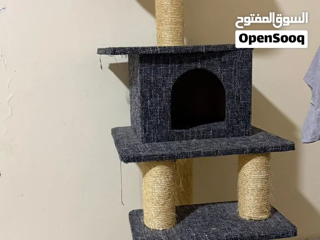 منزل قطه متكامل مع مبرد اضافر و مكان للعب