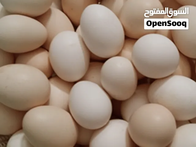 بيض دجاج بلدي للبيع