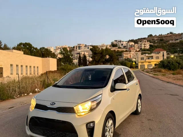 مورنينج ترخيص 2020 فل الفل رخصة وتأمين طويل امكانية التقسيط