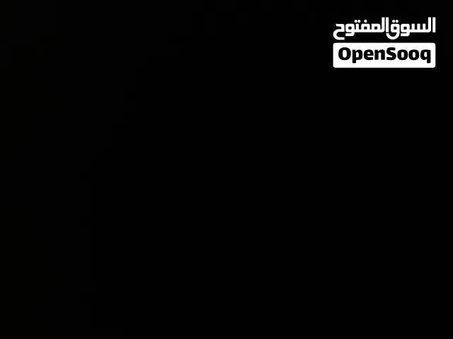 مطلوب طير بغباء للتبني