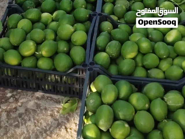 ليمون بلدي