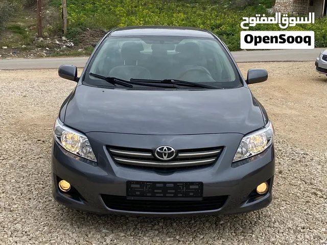 تويوتا كورولا