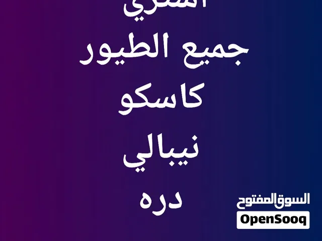 اشتري جميع الطيور المتكلمه والليفه