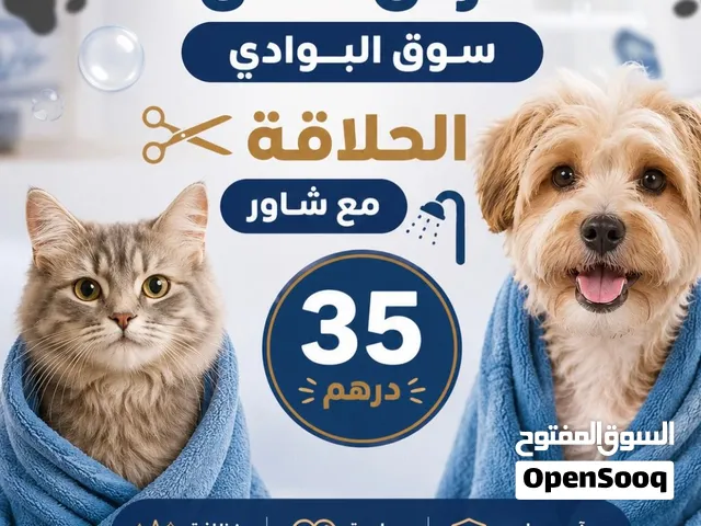 عرض جديد من عيادة زووفيت