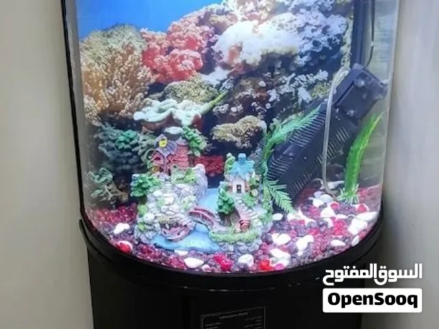 حوض اسماك زينه تحفه جديد مستورد مع الدولاب