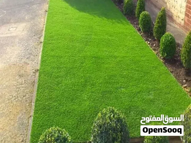 نجيل طبيعي أمريكي