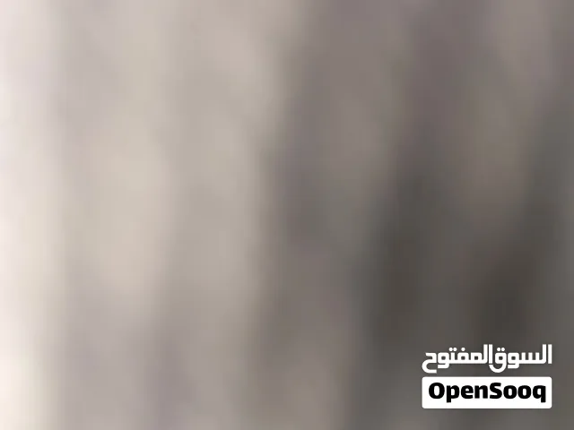 Free Fire Accounts and Characters for Sale in Amman