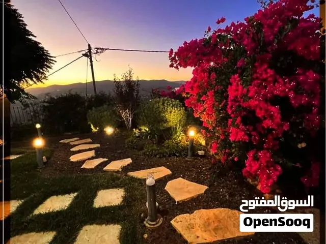 Farm sunset villa ‘jarash’