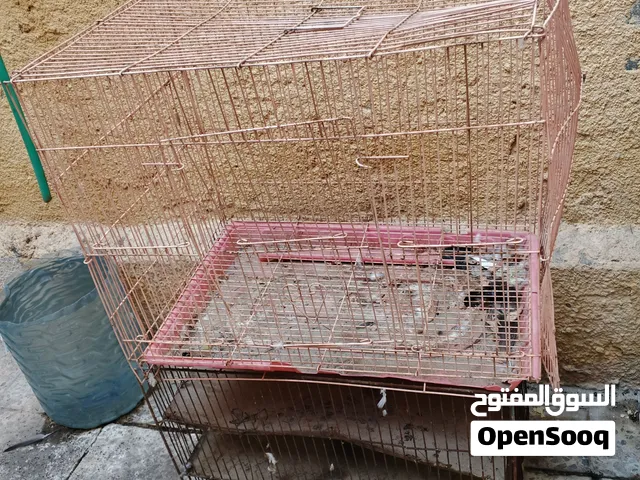 اقفاص ثنين واحد مال نقل واحد مال طيور زينة