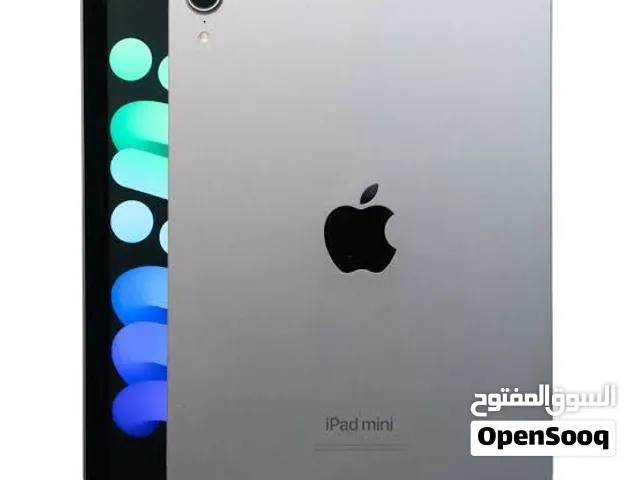 iPad mini 7, فل اوبشن