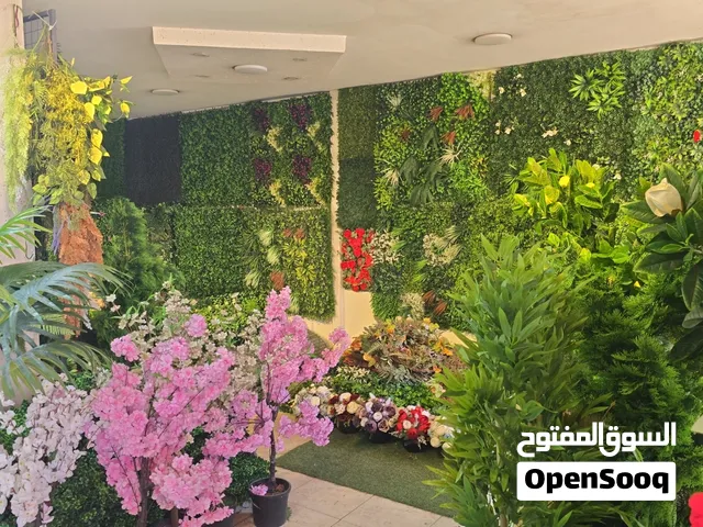 Artificial grass  عشب جداري  سياج عشبي عشب صناعي لاند سكيب