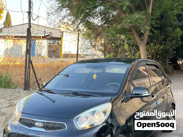 مورنينغ 2016 فحص نخب