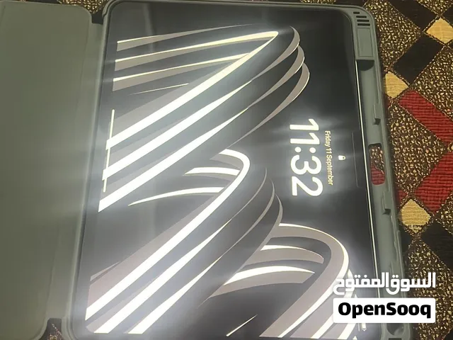 Apple iPad 256 GB in Cairo
