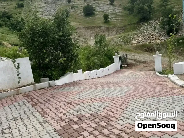 مزرعە ایجار یومي بشقلاوة
