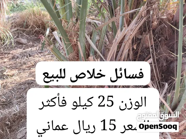 فسائل خلاص للبيع