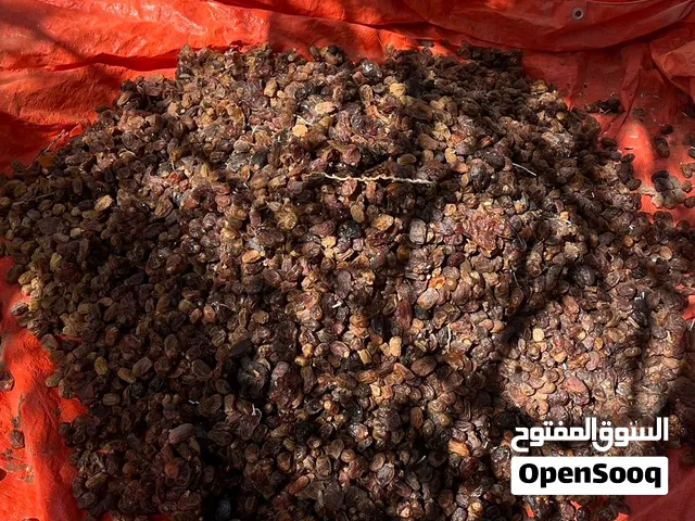 نفيعه للحيوانات