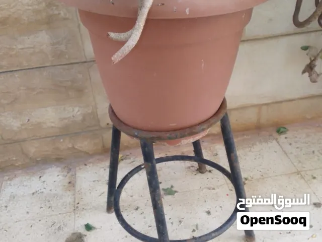 : أصص زراعة + تربة + ستاند.